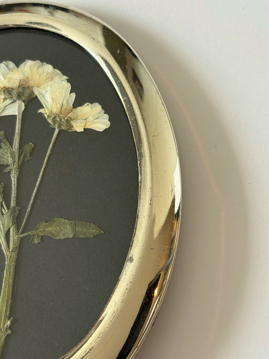 Micro Pom Daisy in Vintage Frame