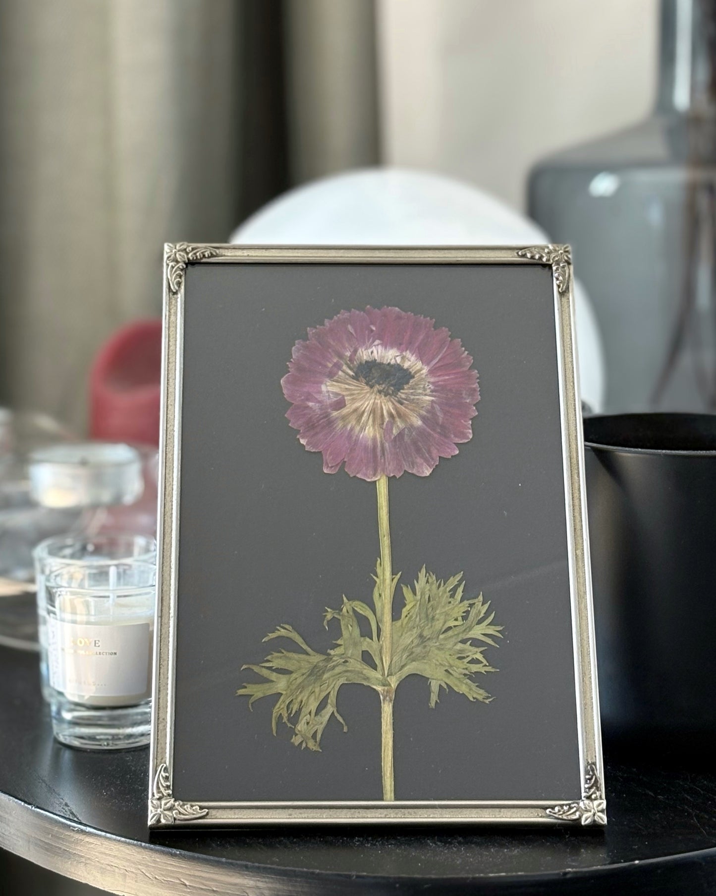 Anemone Fullstar in Vintage Frame