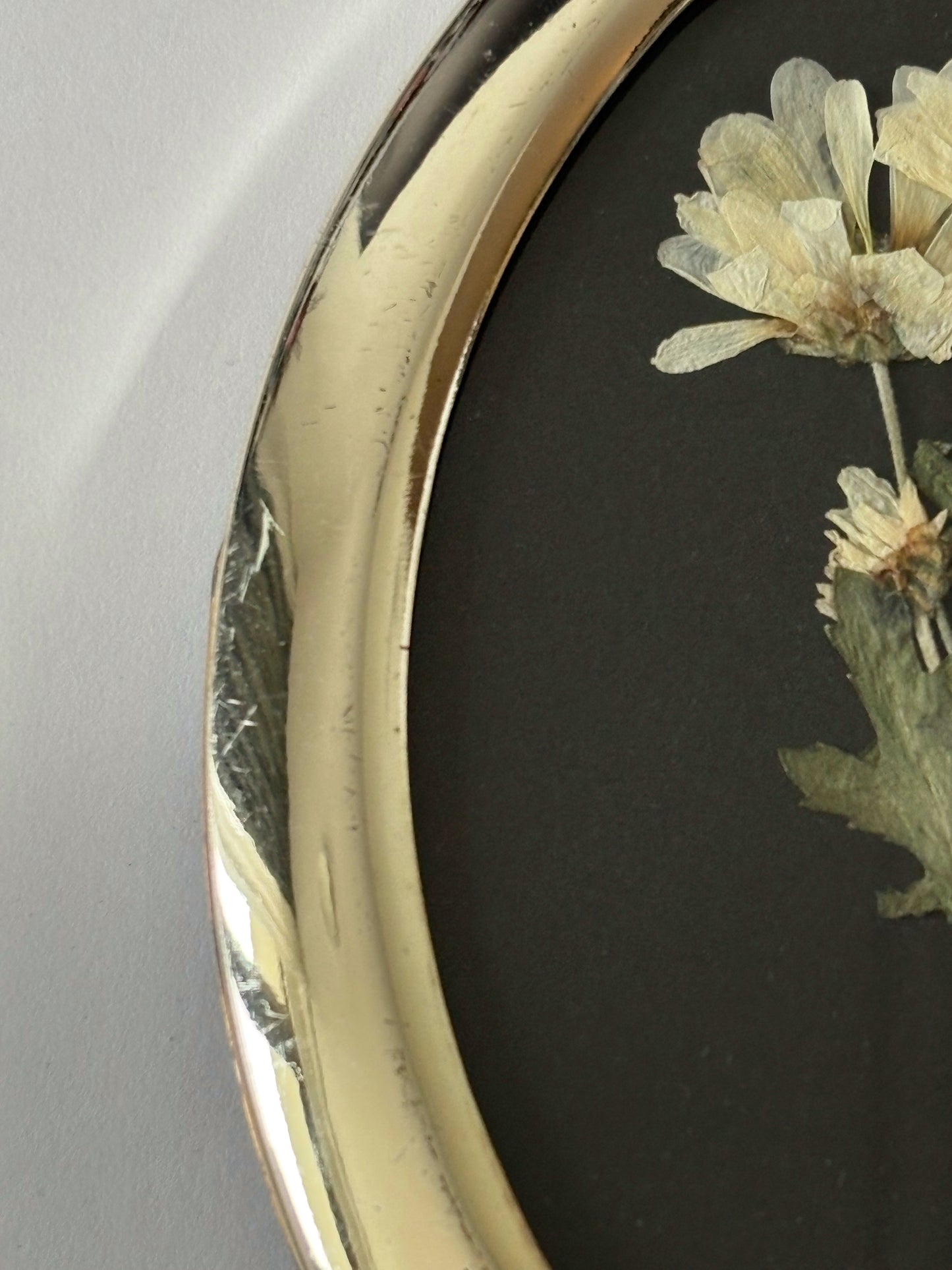 Micro Pom Daisy in Vintage Frame