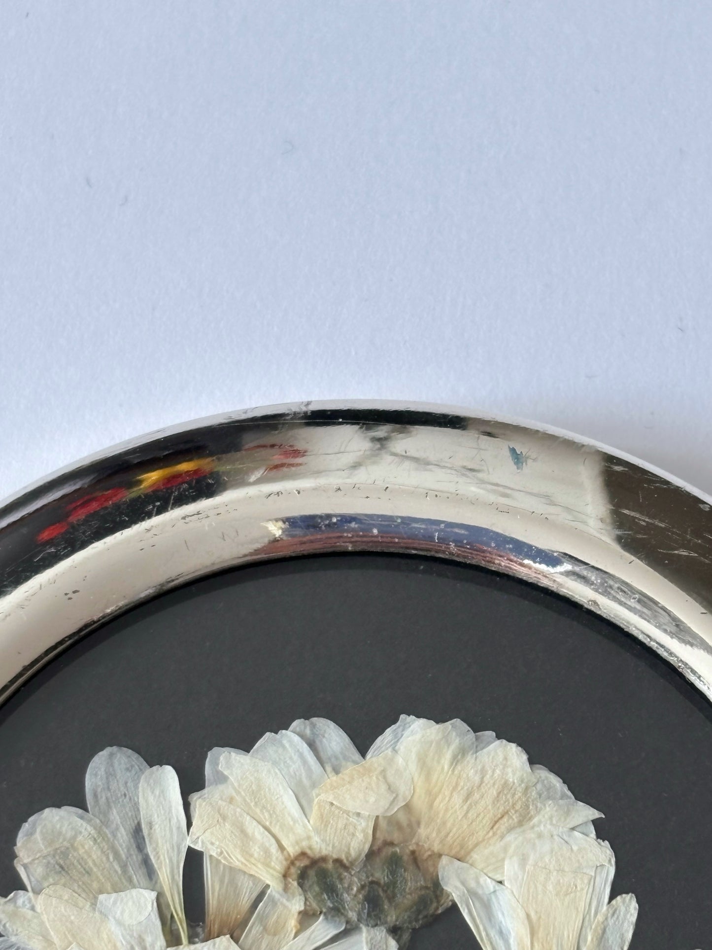 Micro Pom Daisy in Vintage Frame