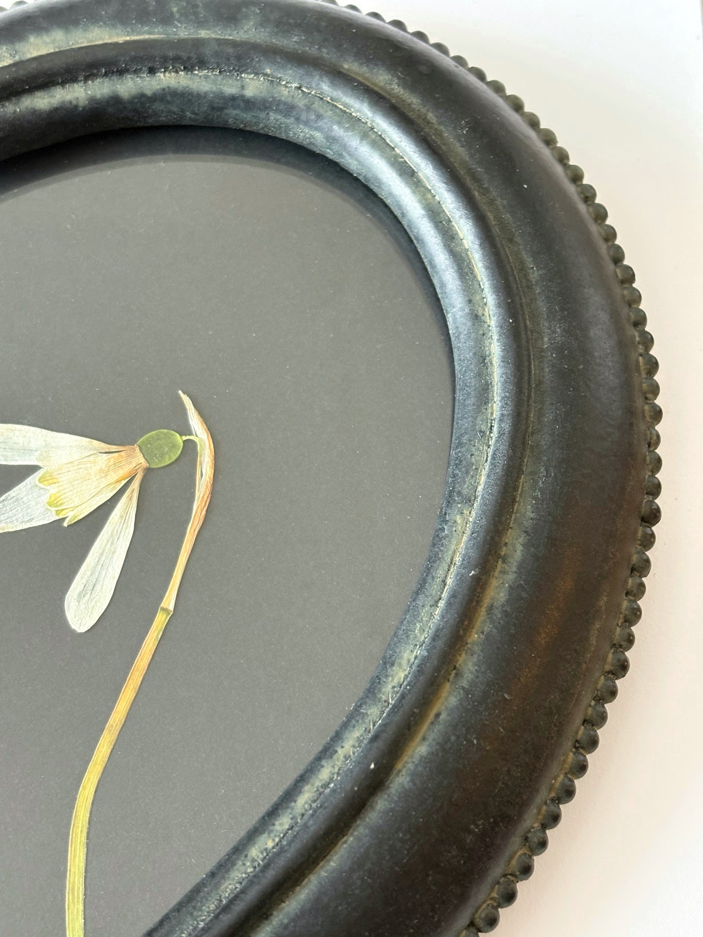 Snowdrops in Vintage Frame
