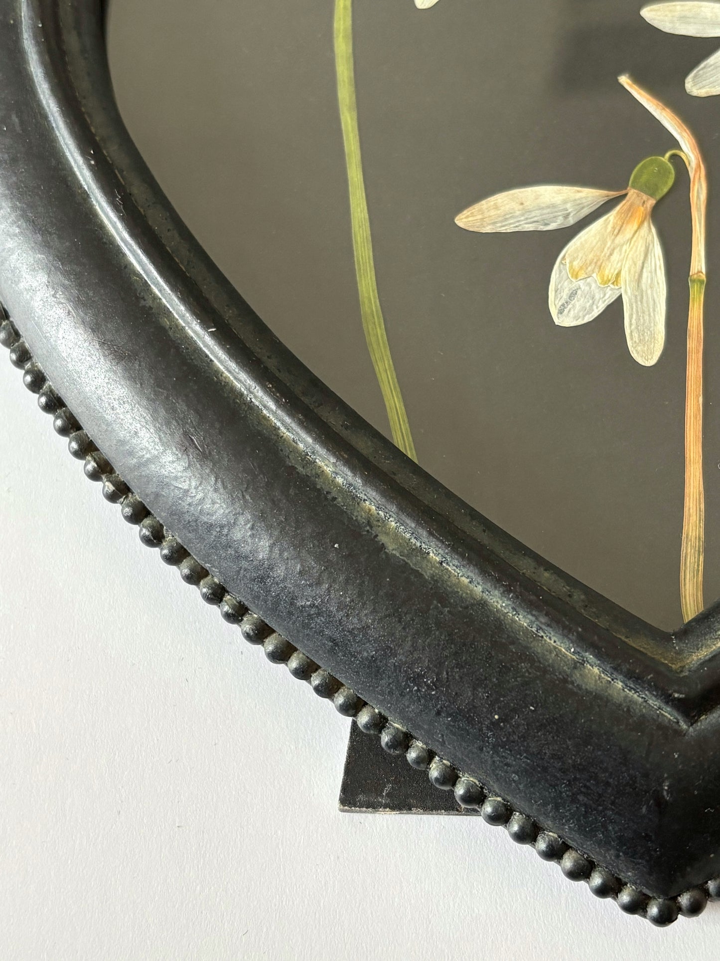 Snowdrops in Vintage Frame