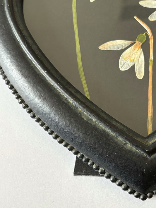 Snowdrops in Vintage Frame