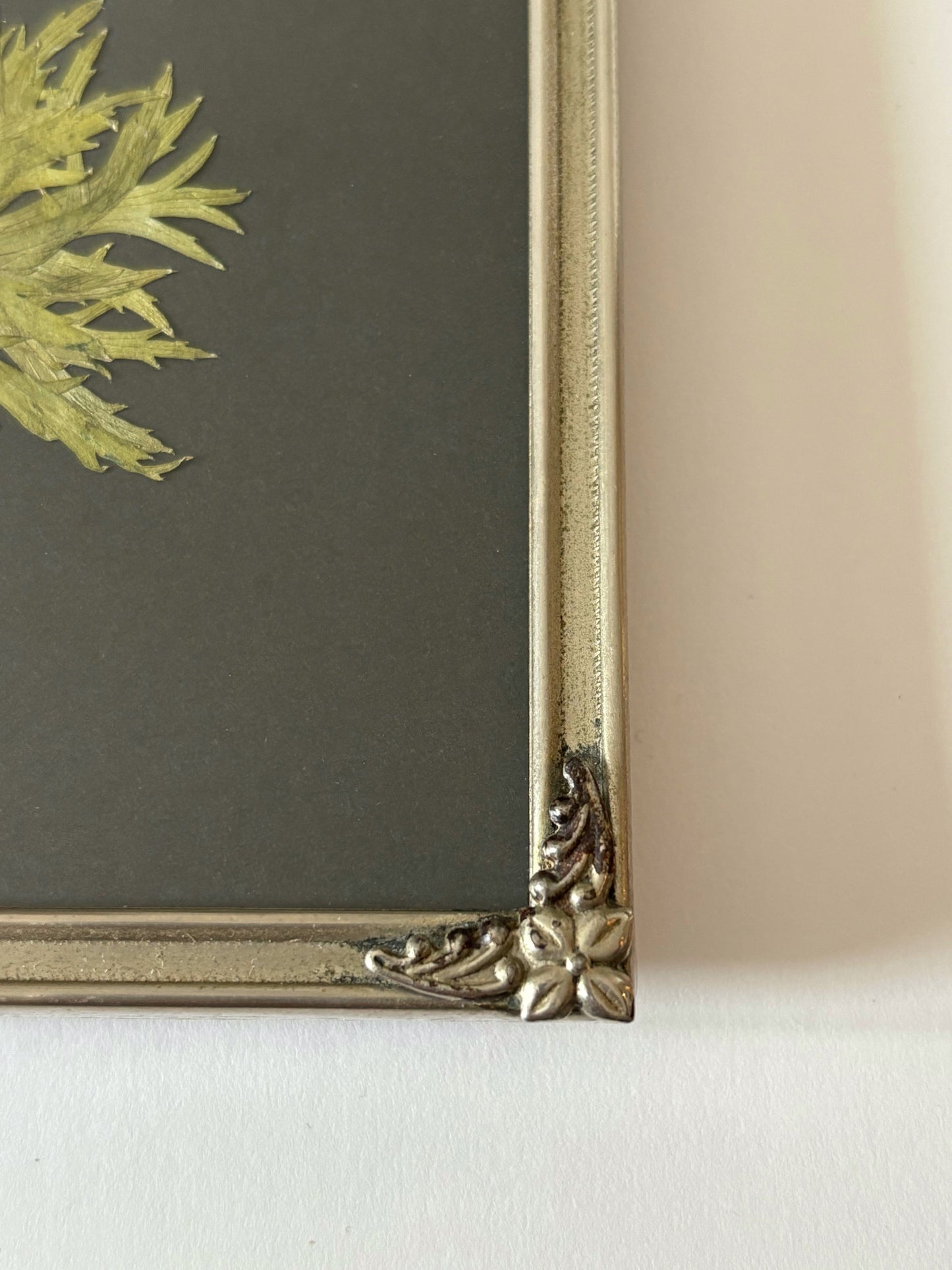 Anemone Fullstar in Vintage Frame
