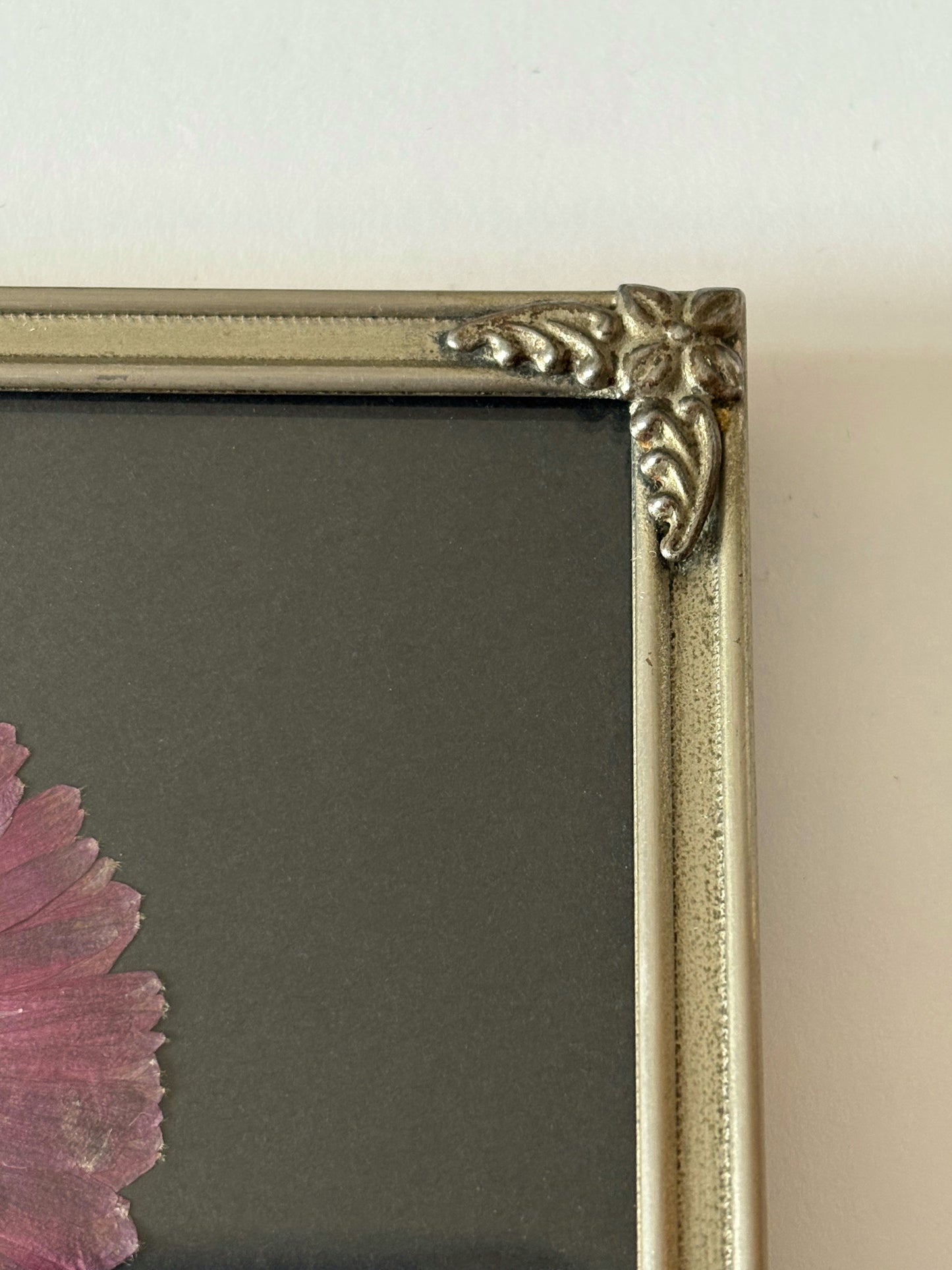Anemone Fullstar in Vintage Frame