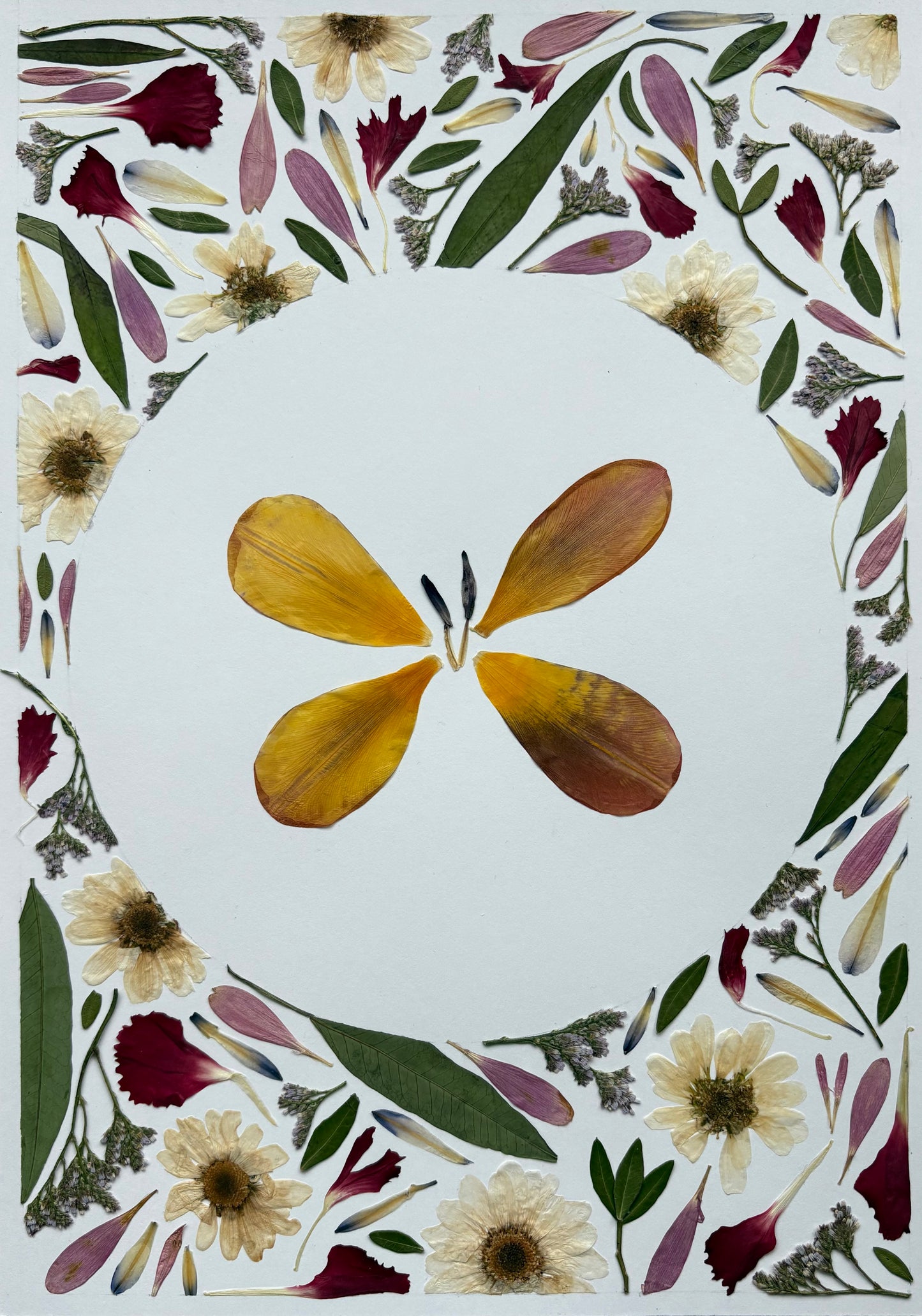 Butterfly Tulip Piece
