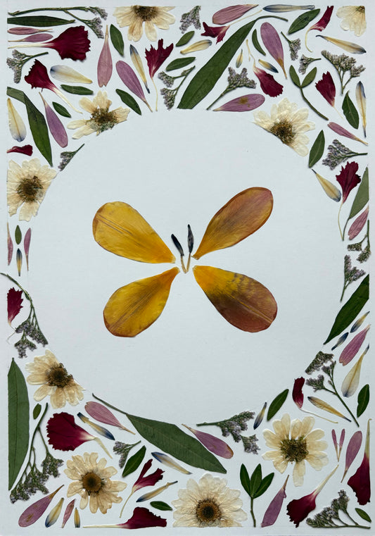 Butterfly Tulip Piece