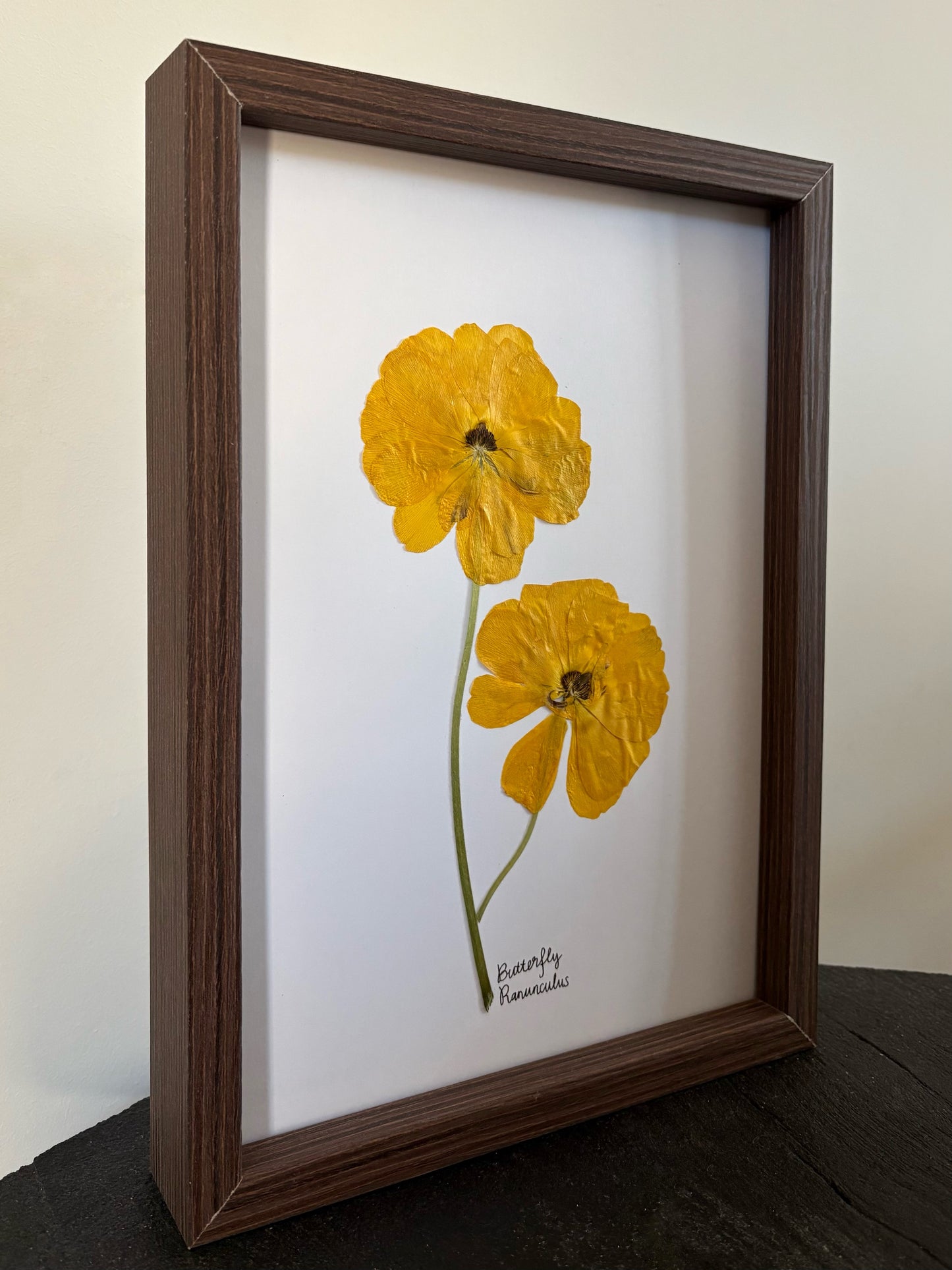 Yellow Butterfly Ranunculus
