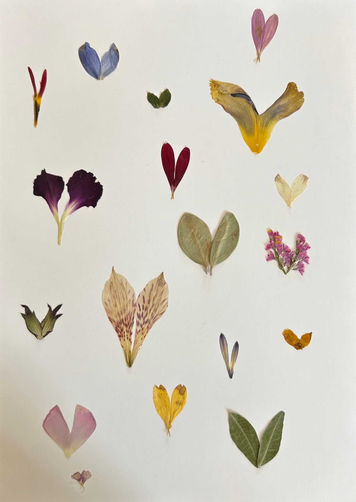 Heart Petals