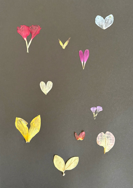 Heart Petals on Black