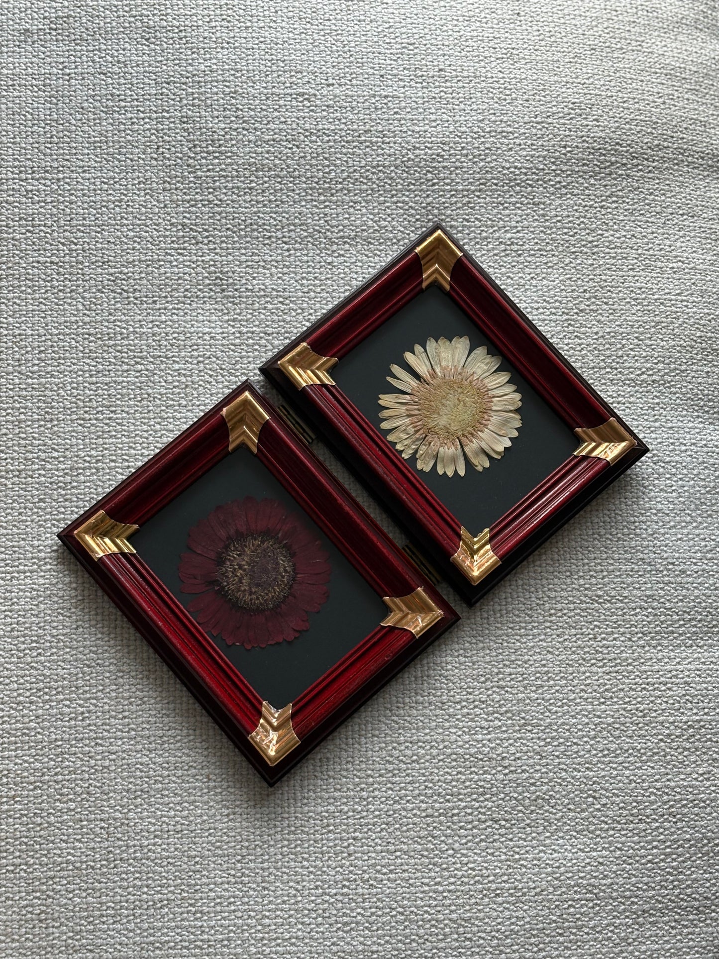 Twin Set: Gerbera in Vintage Frame