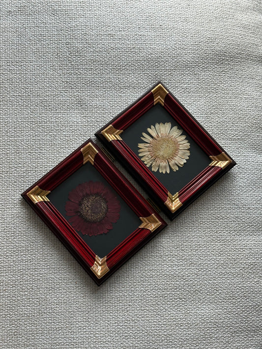 Twin Set: Gerbera in Vintage Frame