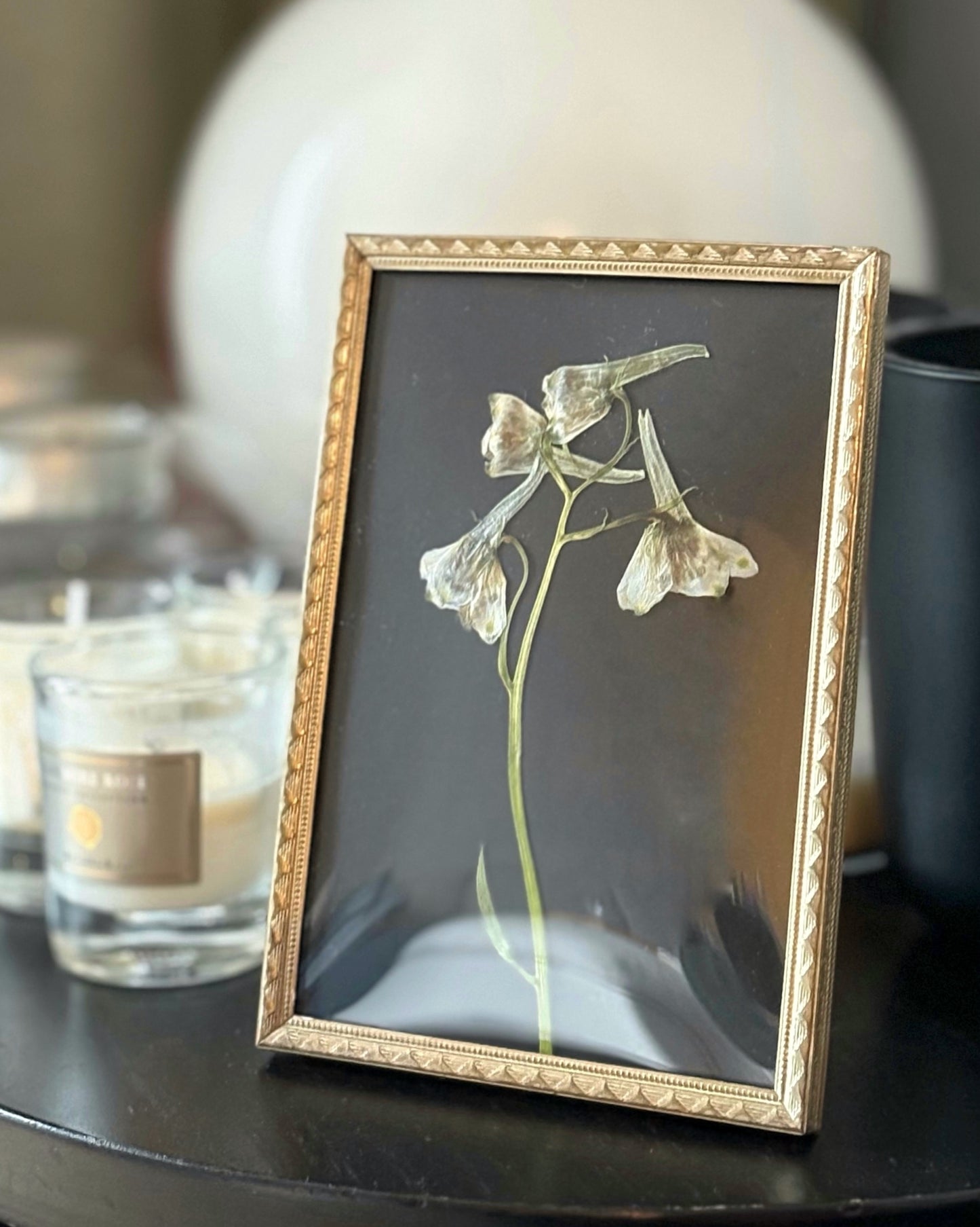 Delphinium in Vintage Frame
