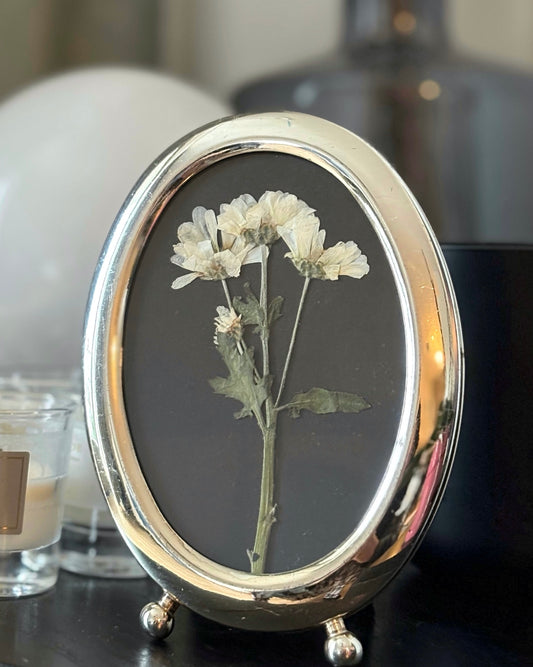 Micro Pom Daisy in Vintage Frame