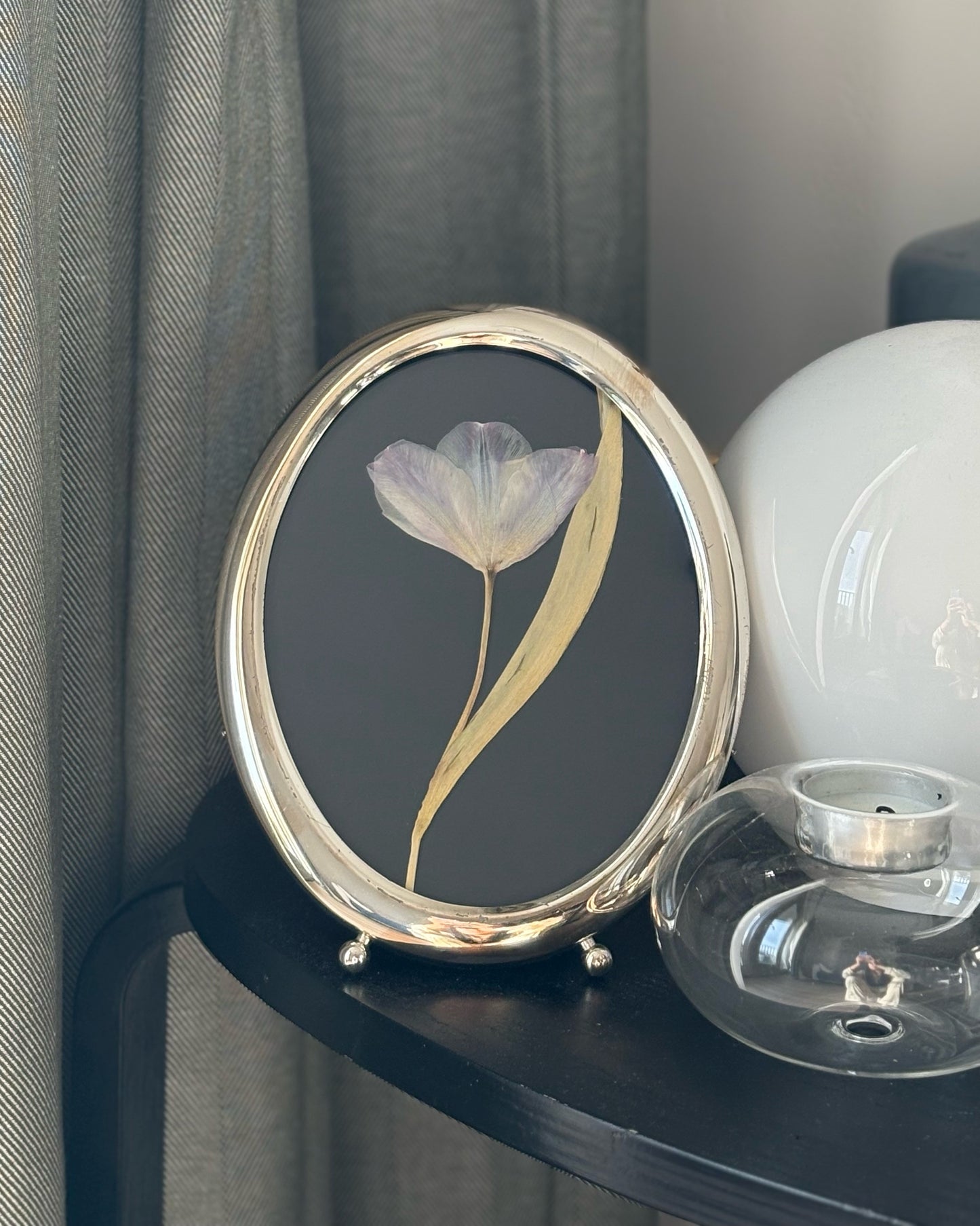Tulip in Vintage Frame